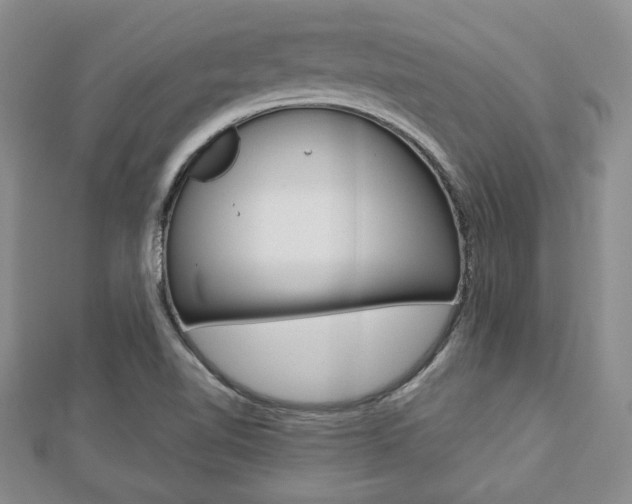 X0000112811510200908210926