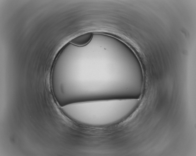 X0000112811513200908210927