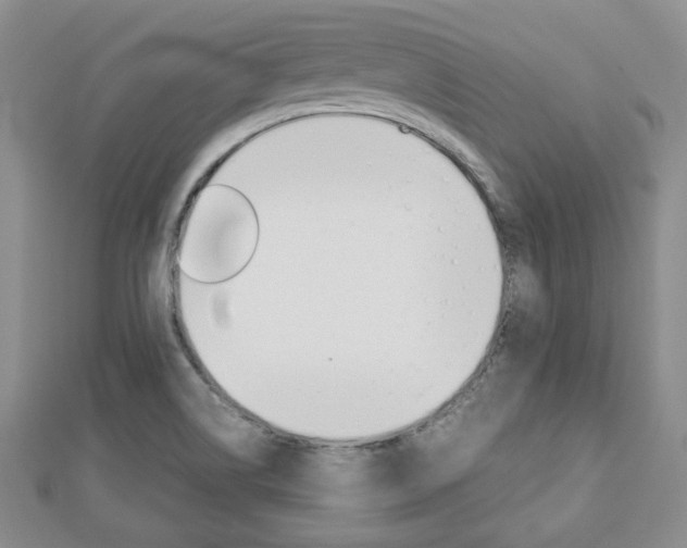 X0000112811514200908210927