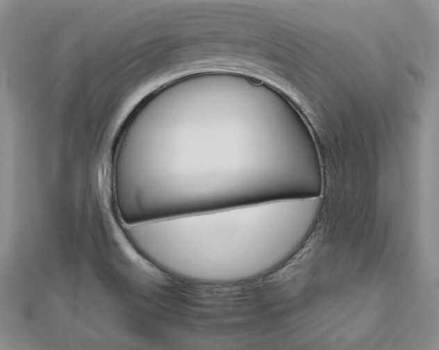 X0000112811515200908210927