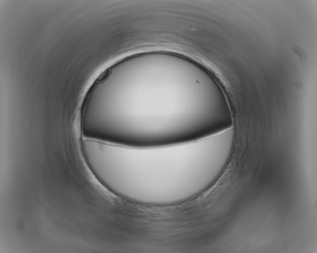 X0000112811516200908210927