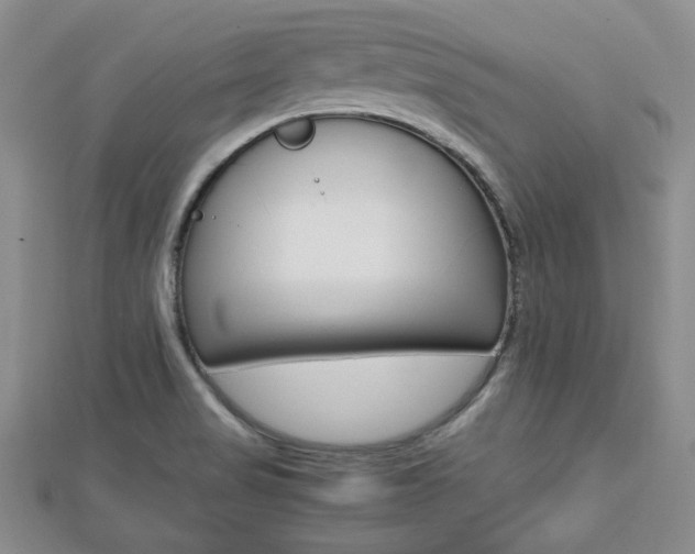 X0000112811517200908210927