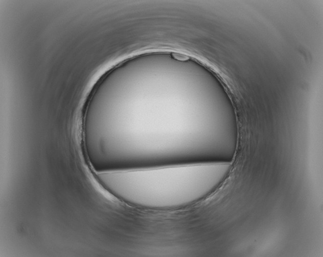 X0000112811519200908210927