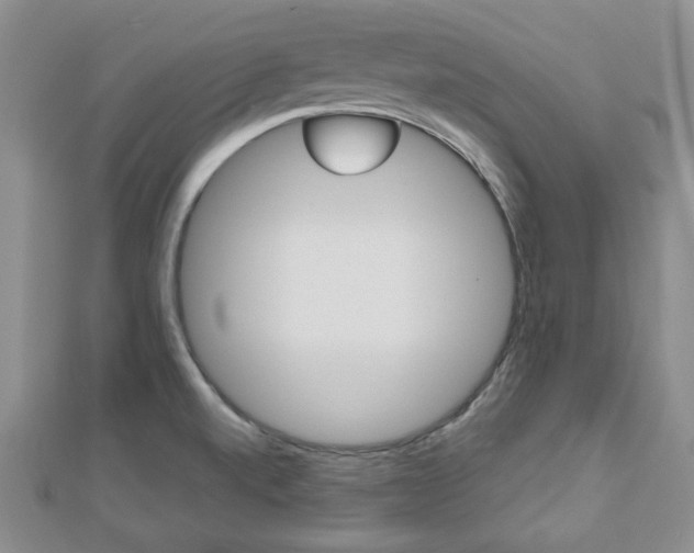 X0000112811520200908210927