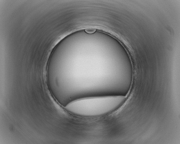 X0000112811521200908210927