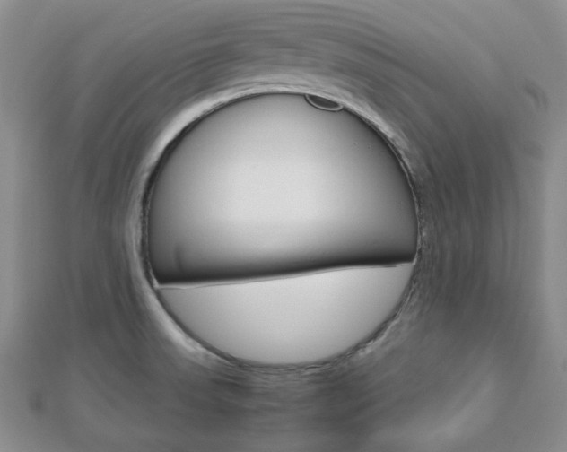X0000112811523200908210927