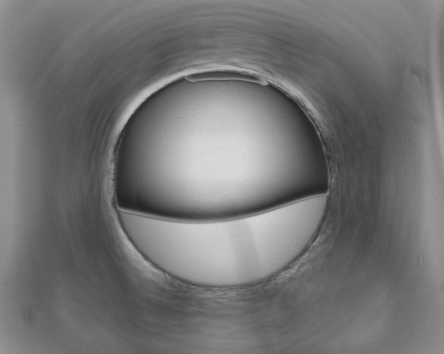 X0000112811524200908210927