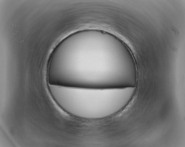 X0000112811525200908210927