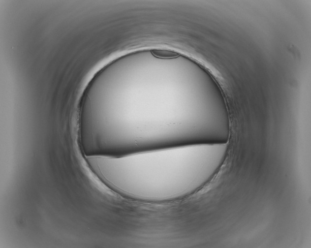 X0000112811526200908210927