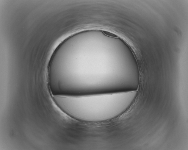 X0000112811527200908210927