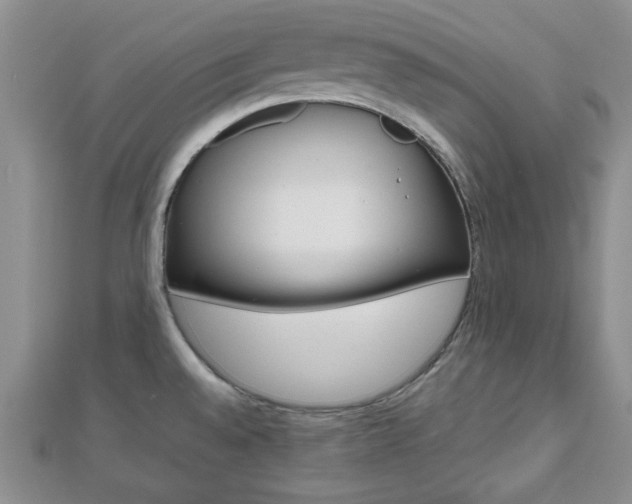 X0000112811528200908210927