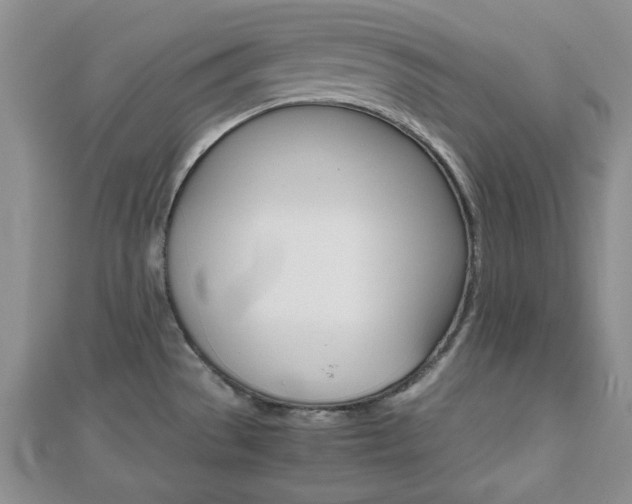 X0000112811529200908210927