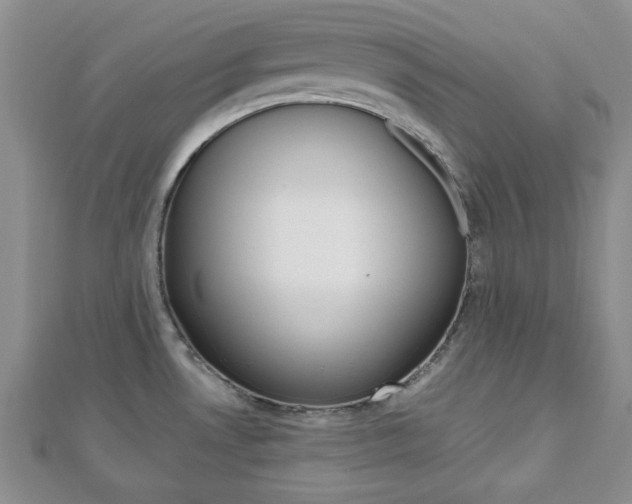 X0000112811530200908210927