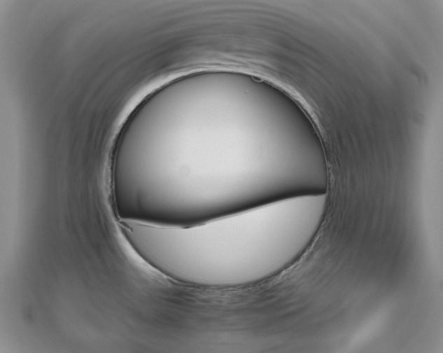 X0000112811531200908210927