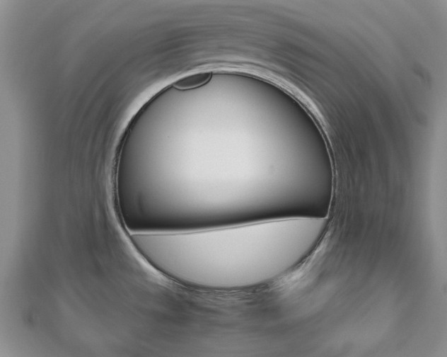 X0000112811533200908210927