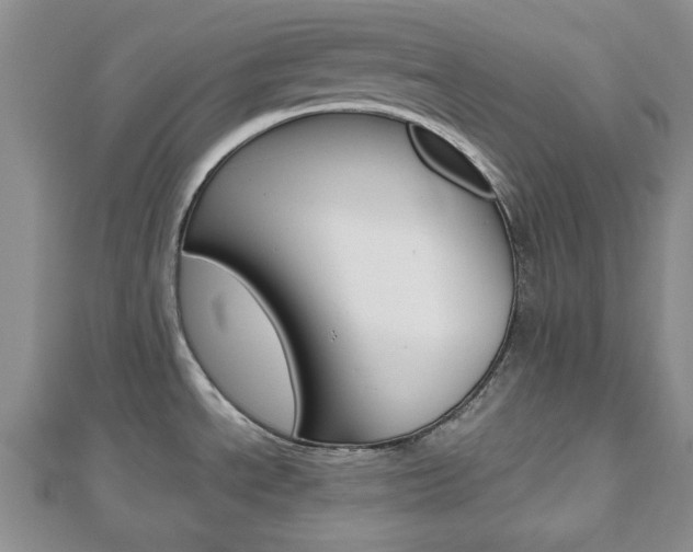 X0000112811534200908210927