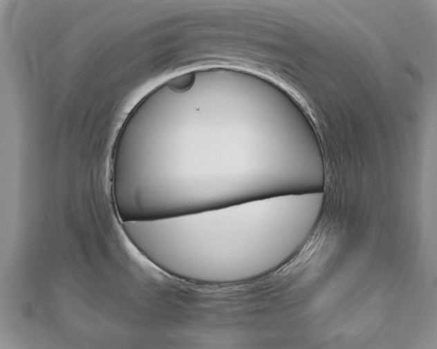 X0000112811535200908210927