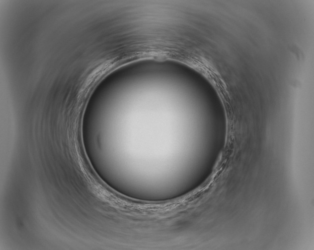 X0000112810001200908211154