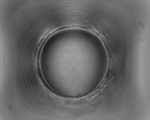 X0000112810002200908211154