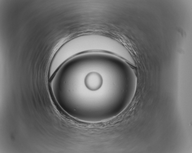 X0000112810003200908211154