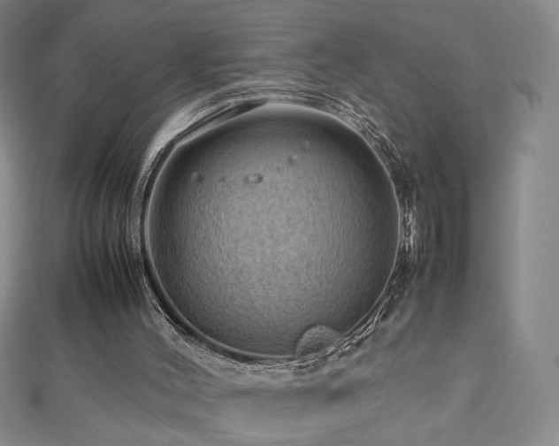 X0000112810004200908211154