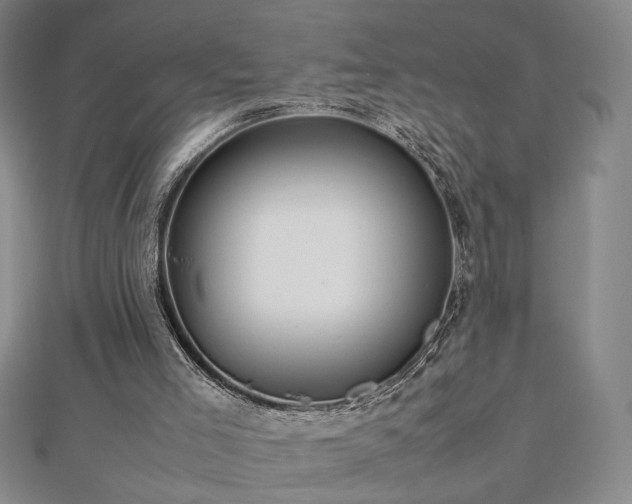 X0000112810005200908211154