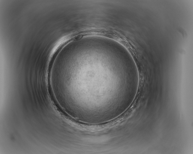 X0000112810006200908211154