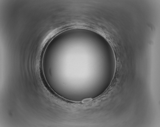 X0000112810007200908211154