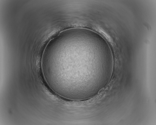 X0000112810009200908211154