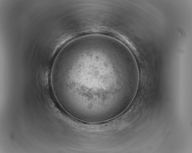 X0000112810010200908211154