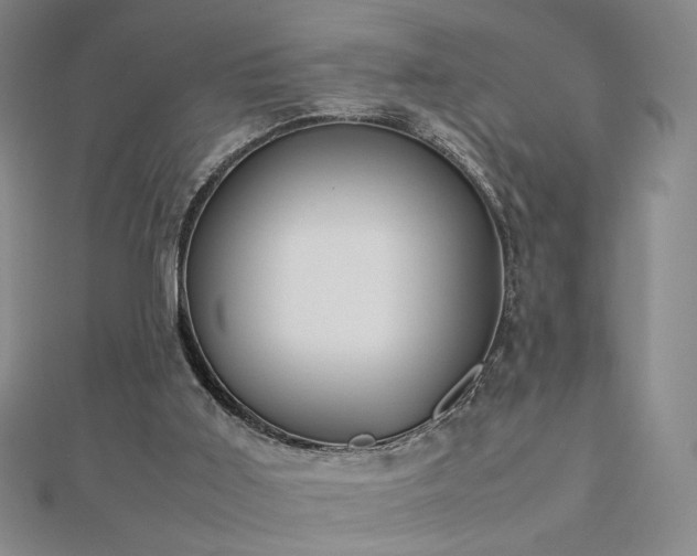 X0000112810011200908211154