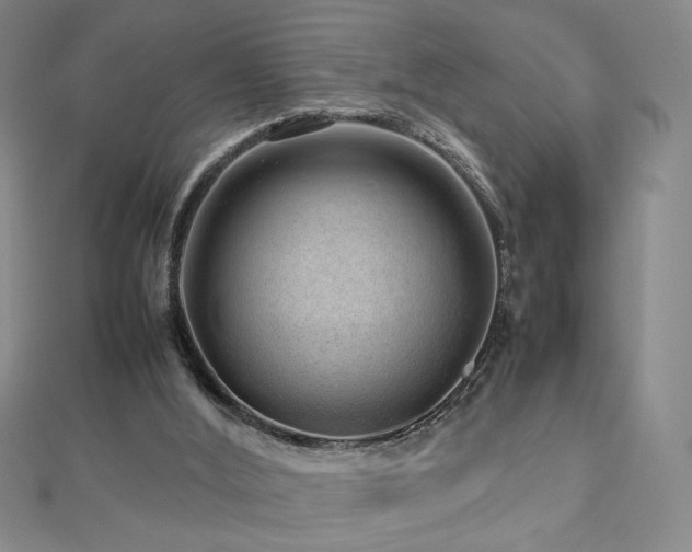 X0000112810012200908211154