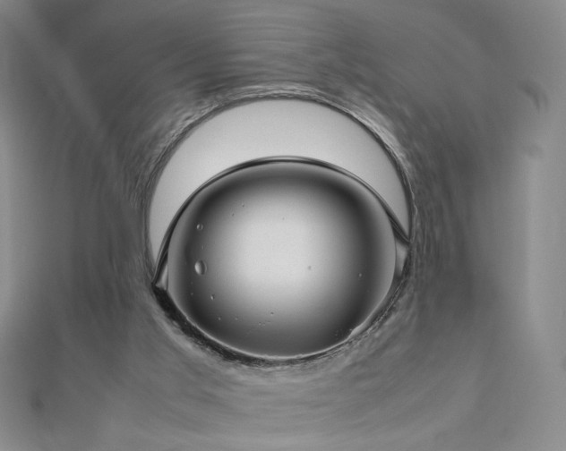 X0000112810013200908211154