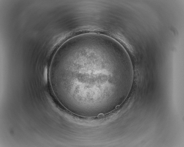 X0000112810014200908211154