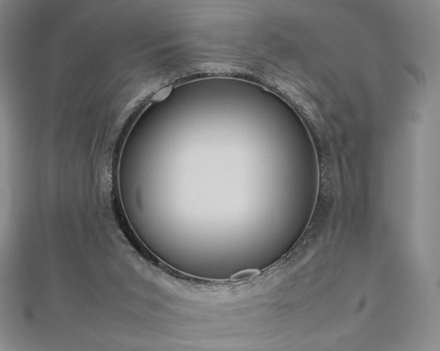 X0000112810015200908211154