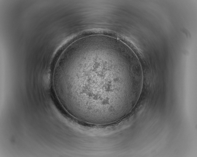 X0000112810016200908211154