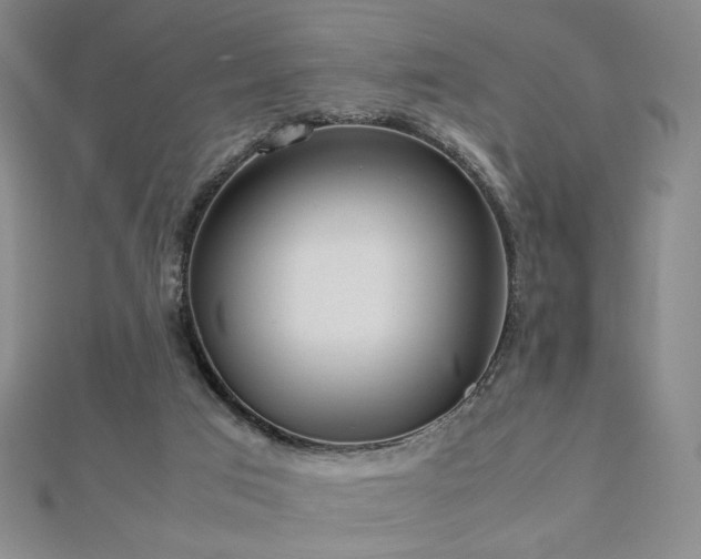 X0000112810017200908211154