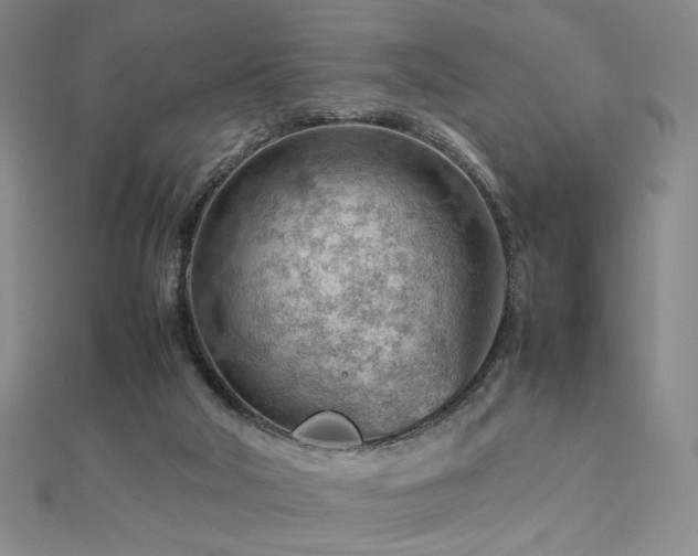 X0000112810018200908211154