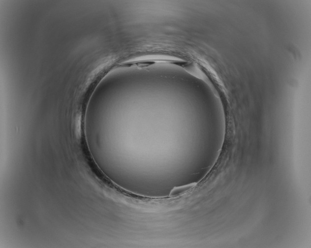 X0000112810019200908211154