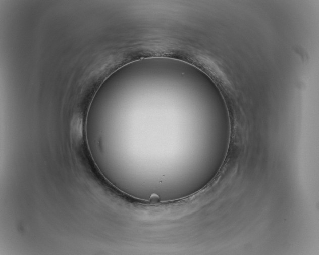 X0000112810021200908211154