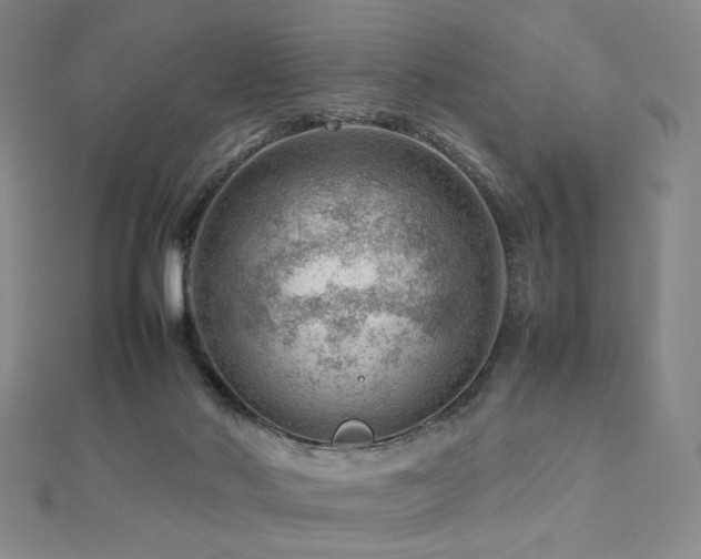 X0000112810022200908211154