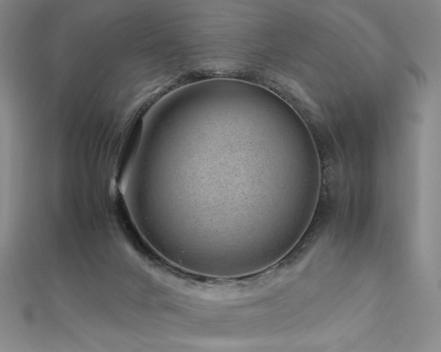 X0000112810024200908211154