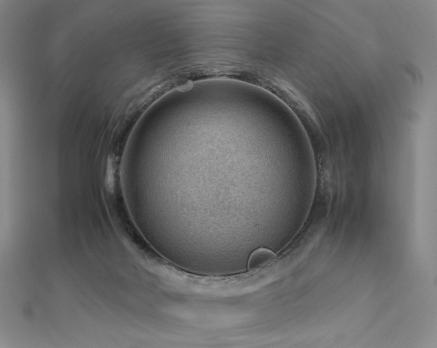 X0000112810026200908211154