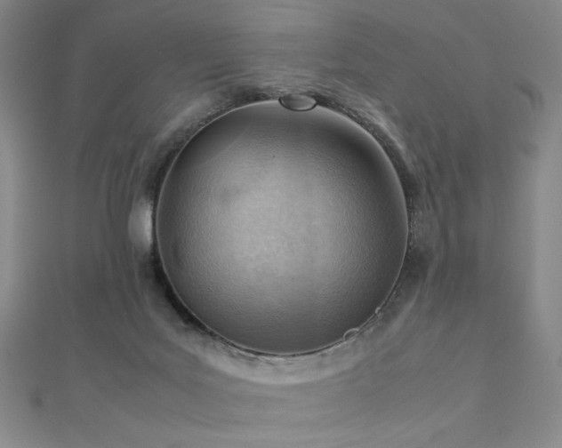 X0000112810027200908211154