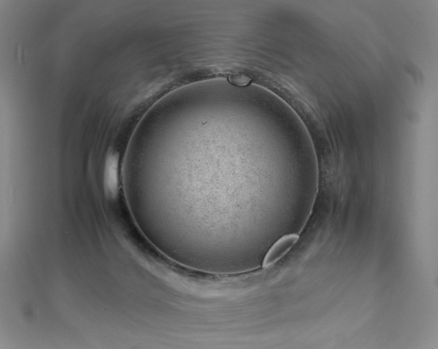 X0000112810028200908211154