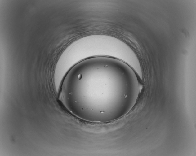X0000112810029200908211154
