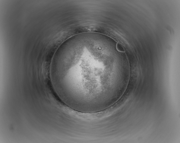X0000112810030200908211154