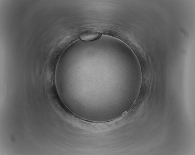 X0000112810031200908211154