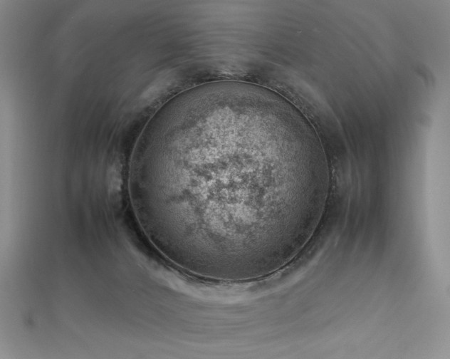 X0000112810032200908211154