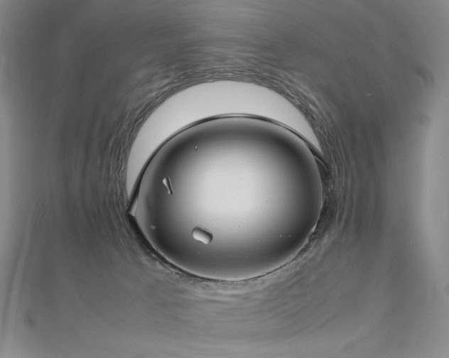 X0000112810033200908211154